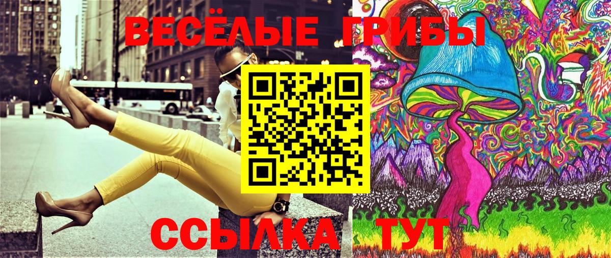 Псилоцибиновые грибы прущие грибы Тельмана