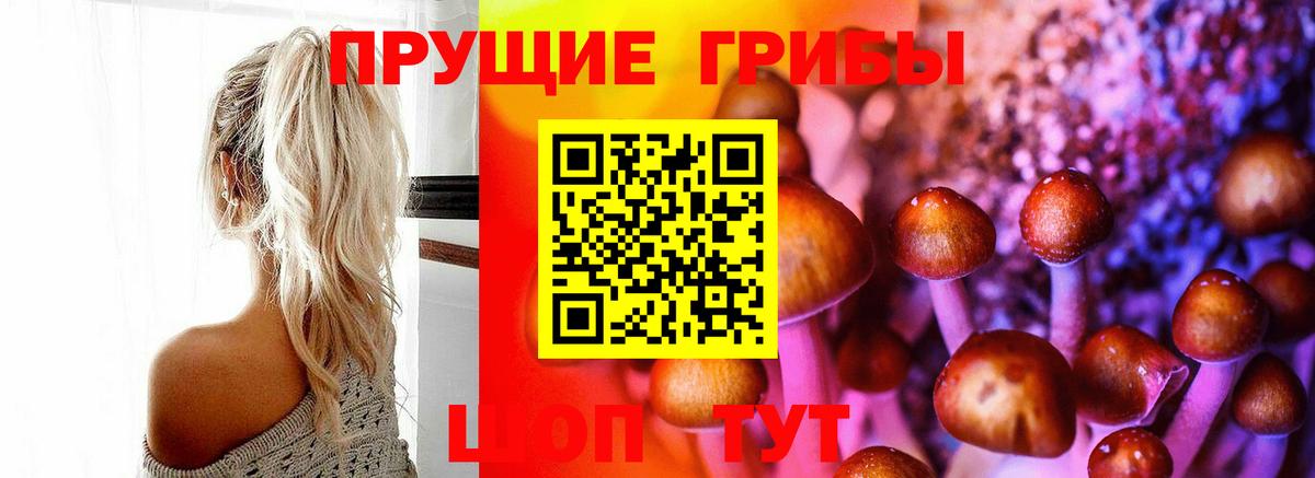 Псилоцибиновые грибы Cubensis  Псилоцибиновые грибы мухоморы  Тельмана  Вход с VPN 